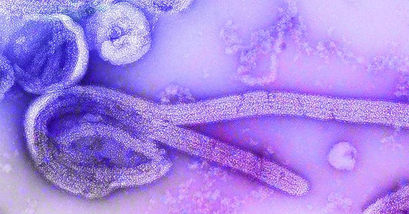 Unsplash/CDC