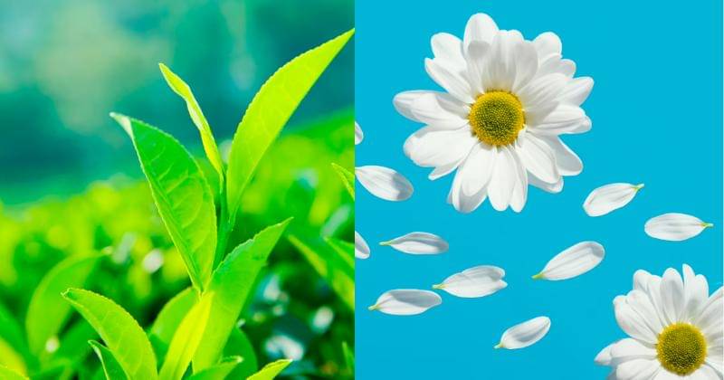 Freepik/freepik, Freepik/rawpixel.com