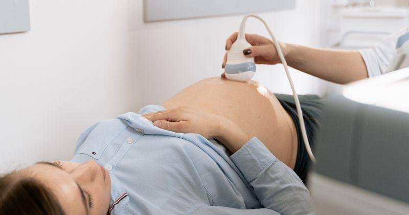 Pexels/Lazaro Rodriguez Jr