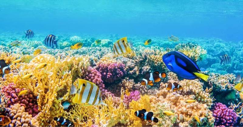 Freepik/user16172657