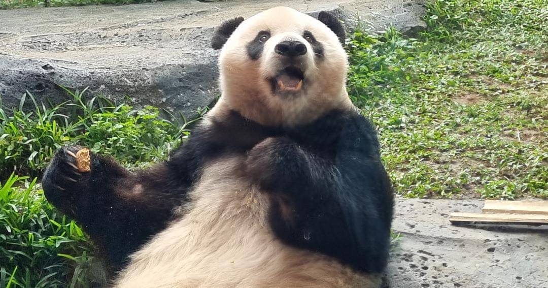 Popmama.com/Sania Chandra