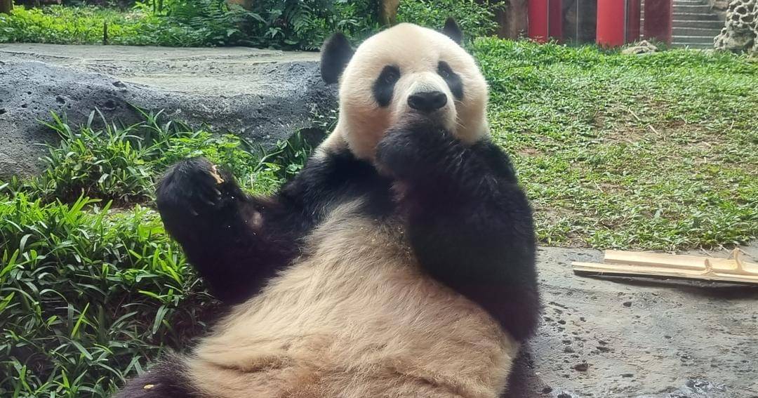 Popmama.com/Sania Chandra