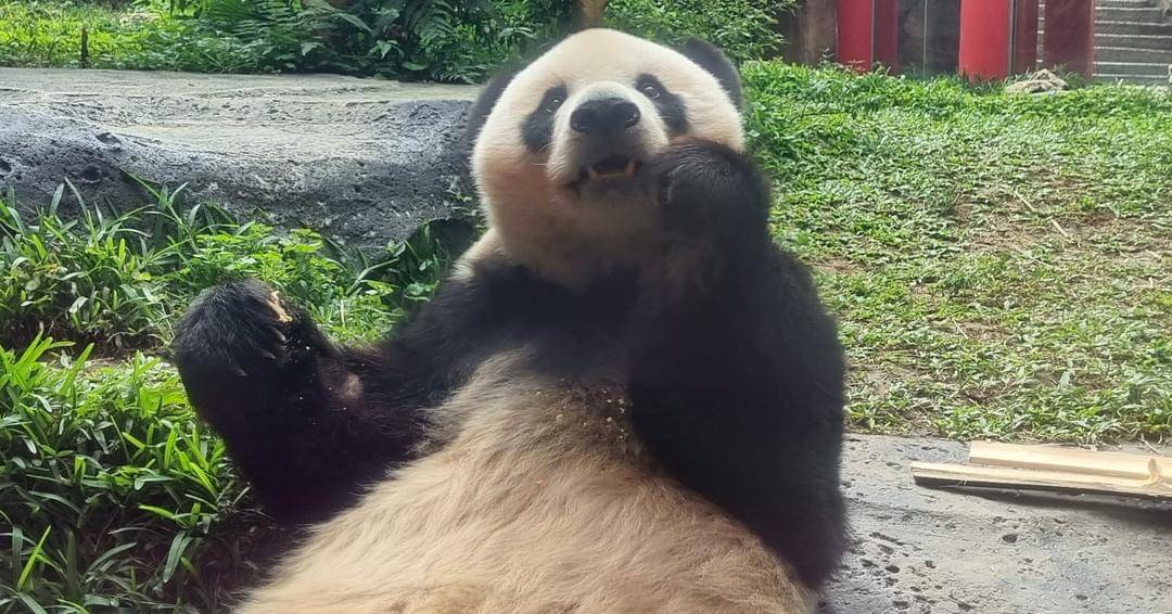 Popmama.com/Sania Chandra