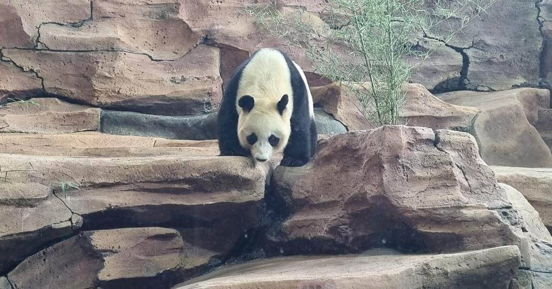 Popmama.com/Sania Chandra