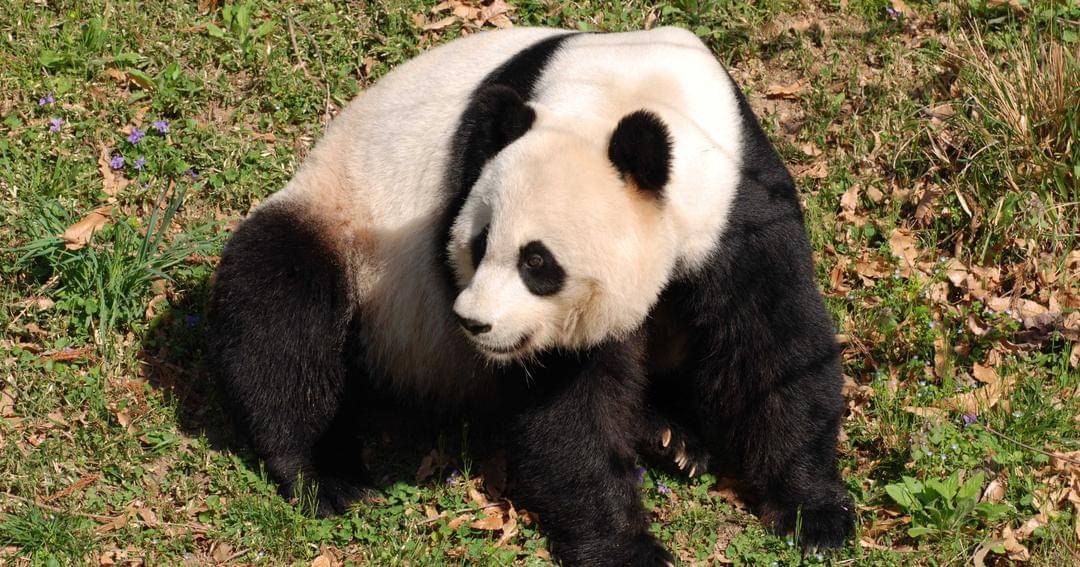 Freepik/DejaVu Designs