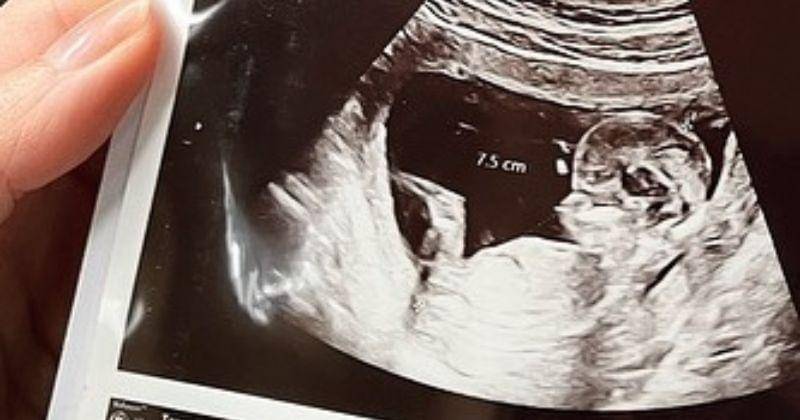 Instagram.com/valenciatanoe