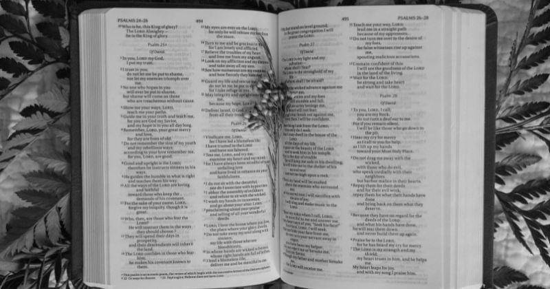 Pexels/Tara Winstead