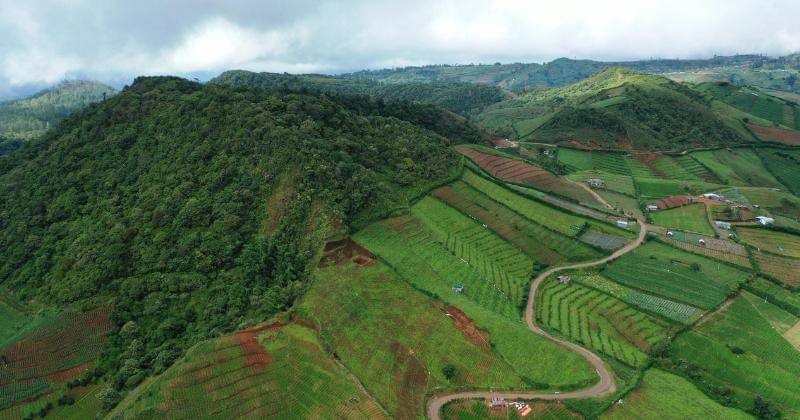 Unsplash/Candy Hartawan