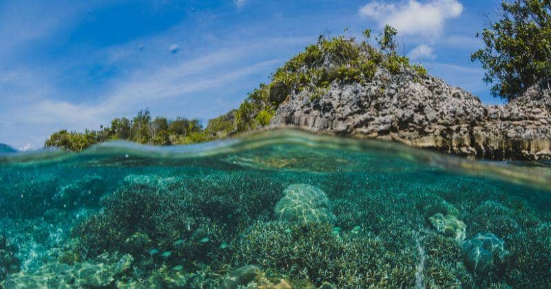 5 Destinasi Bawah Air yang Jadi Lokasi Pengibaran Bendera saat HUT RI