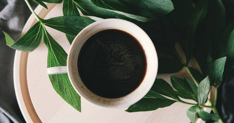 Unsplash/Brigitte Tohm