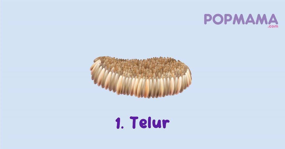 Popmama.com/Aristika Medinasari