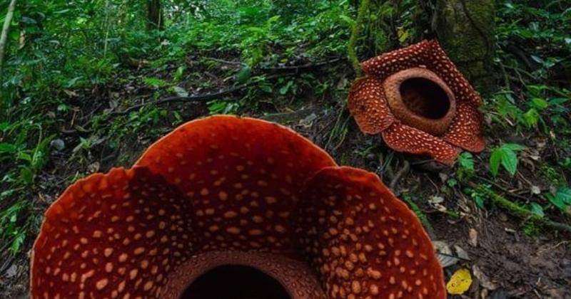 Pinterest.com/reddit.com