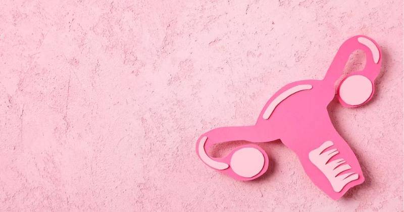 Freepik/atlascompany