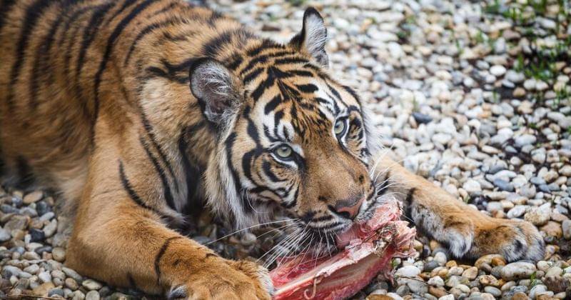 Freepik/luboschlubny