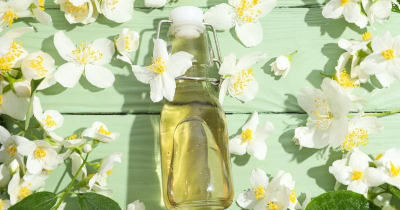 Pexels/Trinto Salvatori