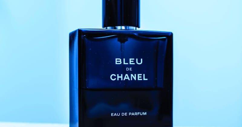 Unsplash/Jeroen den Otter