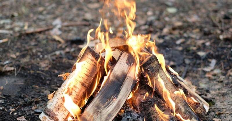 Freepik/Racool_studio