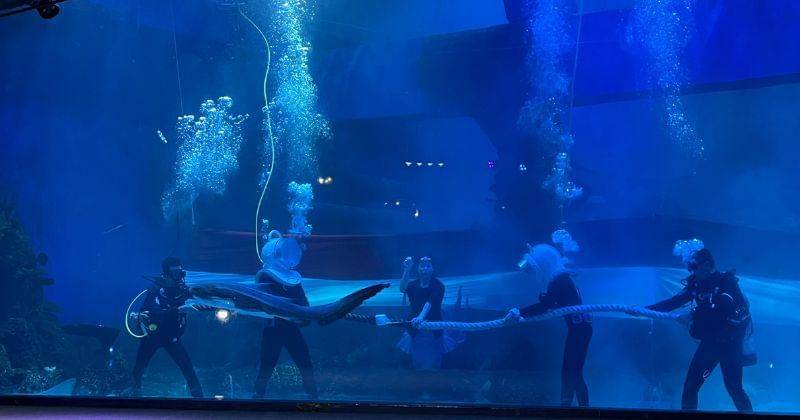 Popmama.com/Putri Syifa N