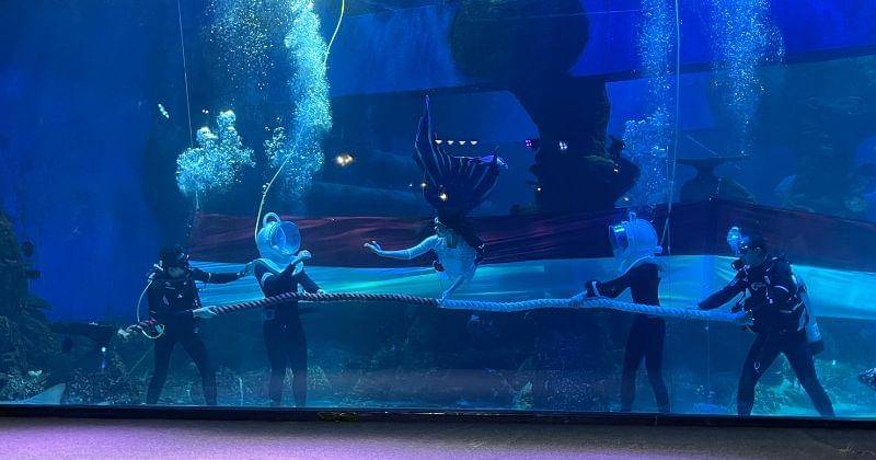 Popmama.com/Putri Syifa N