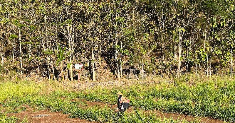 Popmama.com/ Sandra Ratnasari