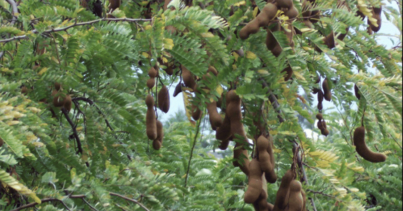 Wikimedia.com/ B. Navez