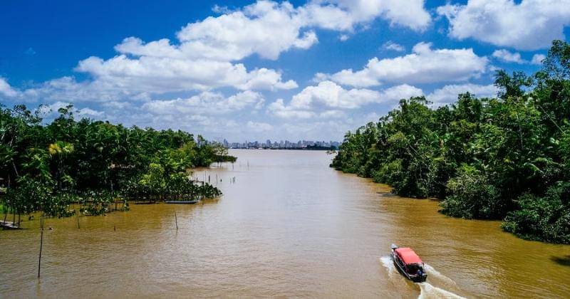 Ilustrasi - Freepik/wirestock