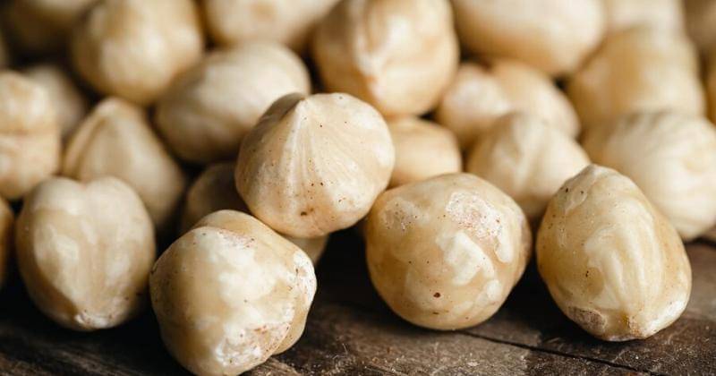 Freepik/pvproductions