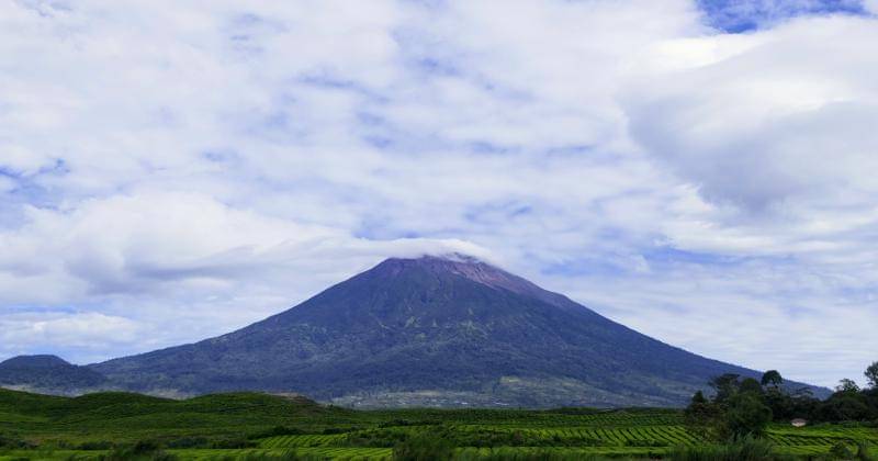 common.wikimedia.org