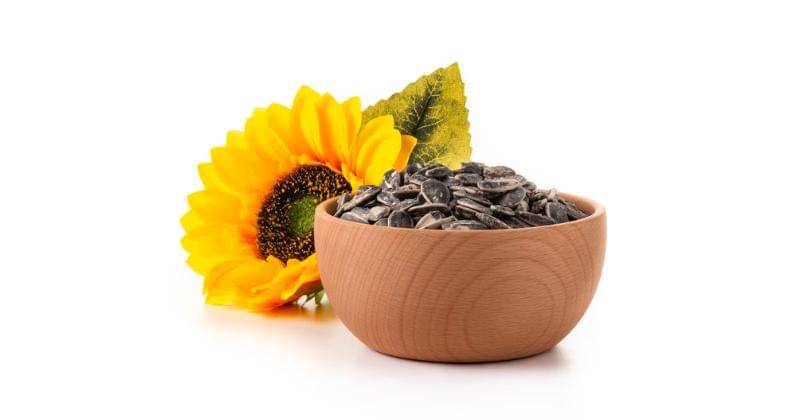 Freepik/chandlervid85