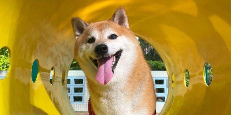 Instagram.com/balltze