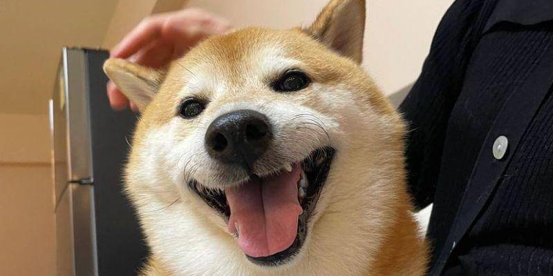 Instagram.com/balltze