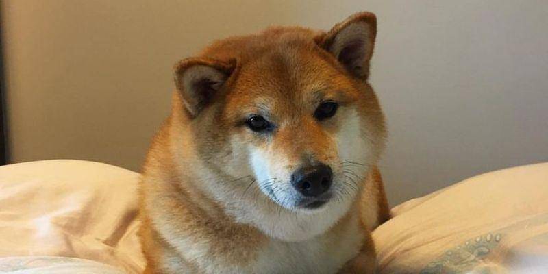 Instagram.com/balltze