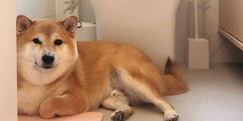 Instagram.com/balltze