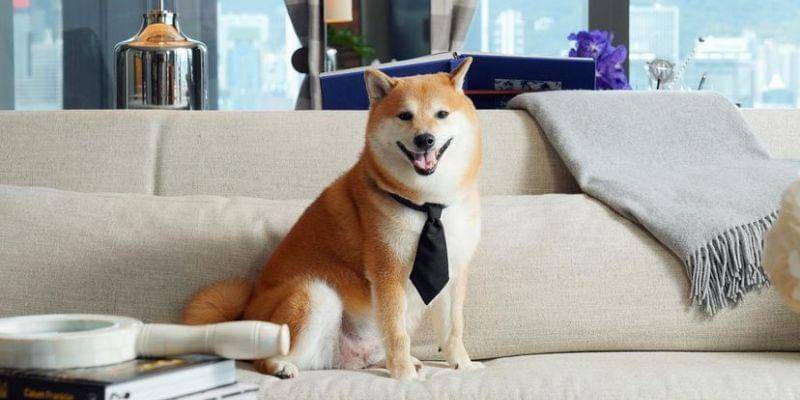 Instagram.com/balltze