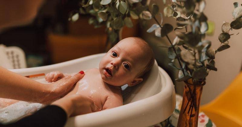 Pexels/RDNE Stock project