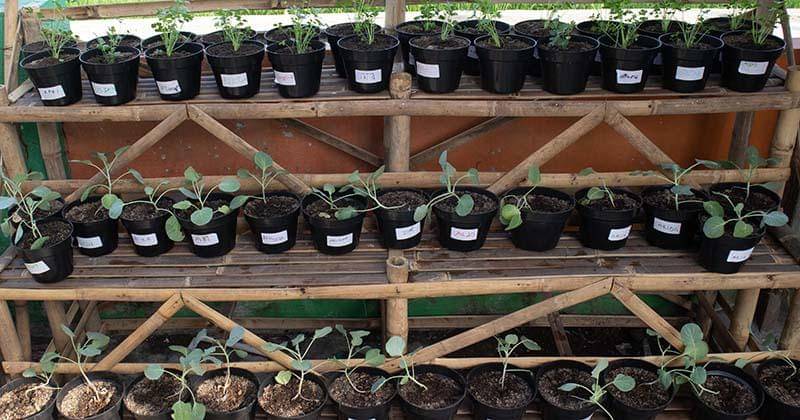 dok. Danone Indonesia