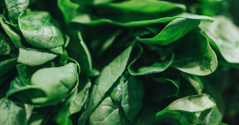 Unsplash/Nathan Dumlao