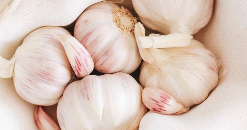 Unsplash/Gaelle Marcel