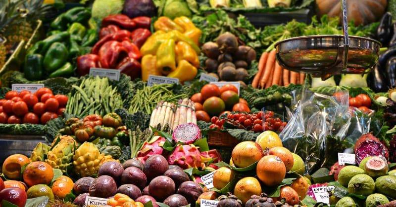 Unsplash/Jacopo Maia