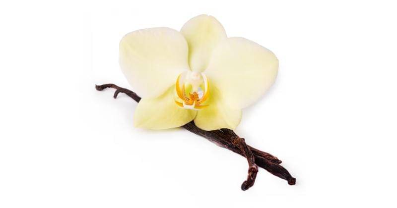 Freepik/Racool_studio