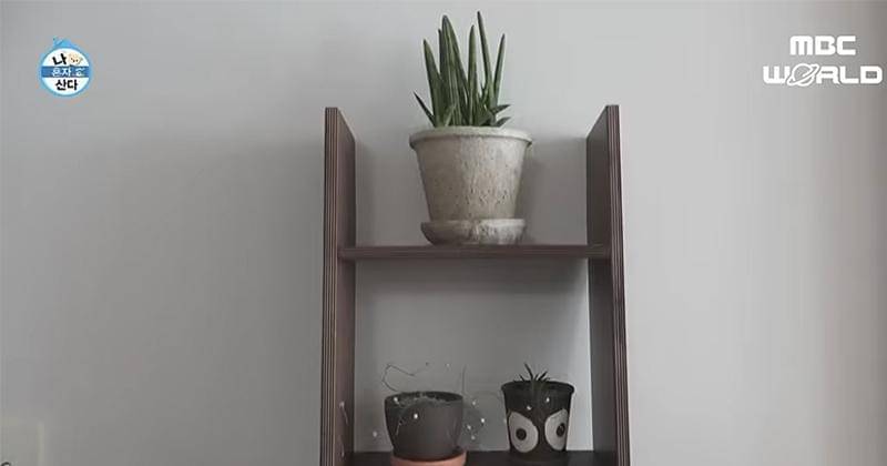 Youtube.com/MBC WORLD