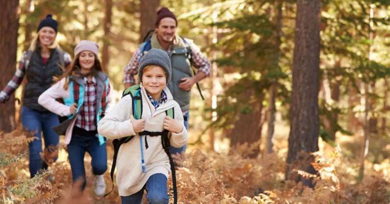 timesofindia.indiatimes.com