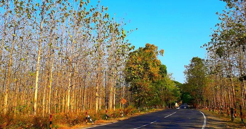 commons.wikimedia.org