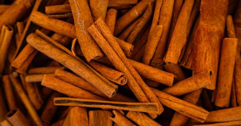 Freepik/ArthurHidden