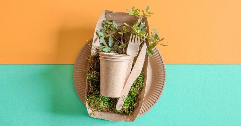 Freepik/Pvproduction