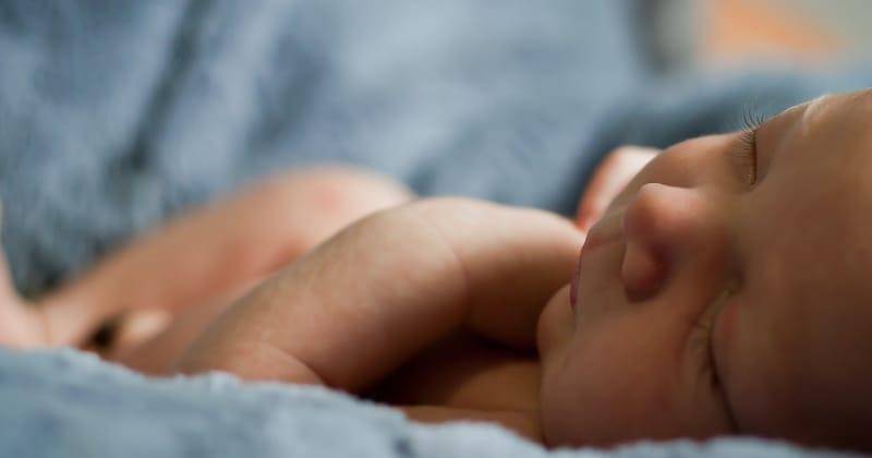 Unsplash/Carlo Navarro