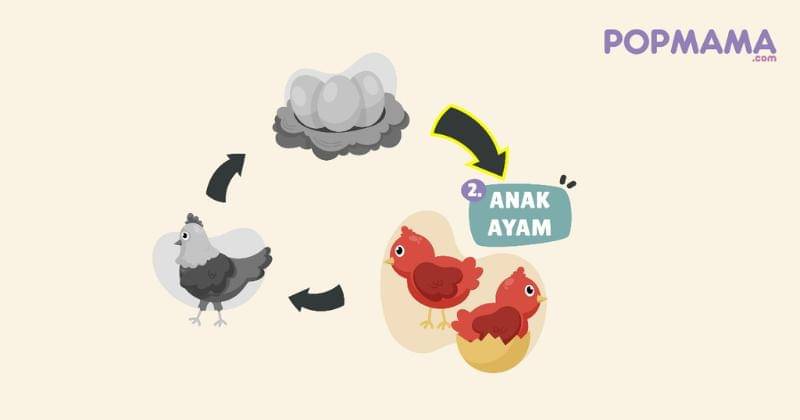 Popmama.com/Aristika Medinasari