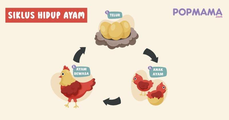 Popmama.com/Aristika Medinasari