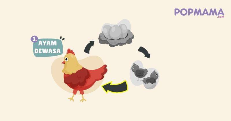 Popmama.com/Aristika Medinasari