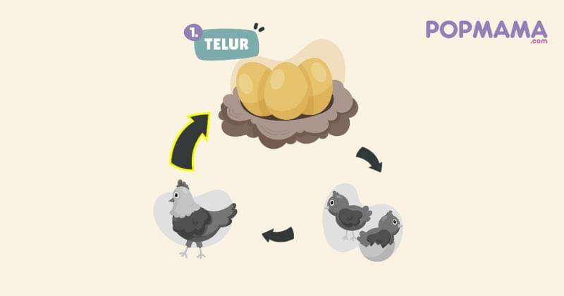 Popmama.com/Aristika Medinasari